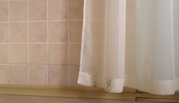 Best Residential Mold Inspection & Testing  in Marathon, FL
