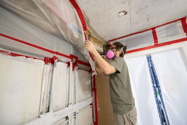 Best Post-Construction Mold Inspection  in Marathon, FL