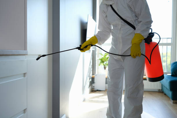 Best Mold Prevention Services  in Marathon, FL