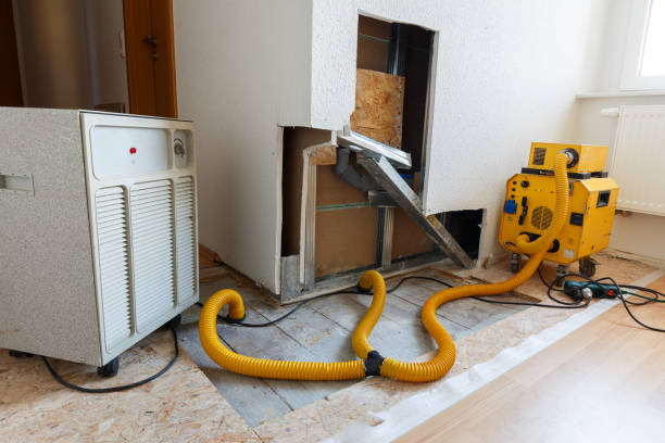 Best Comprehensive Air Testing for Mold Contaminants  in Marathon, FL